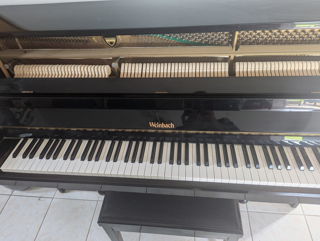 052186cc-6845-11ef-b5e5-fbbd2895551e