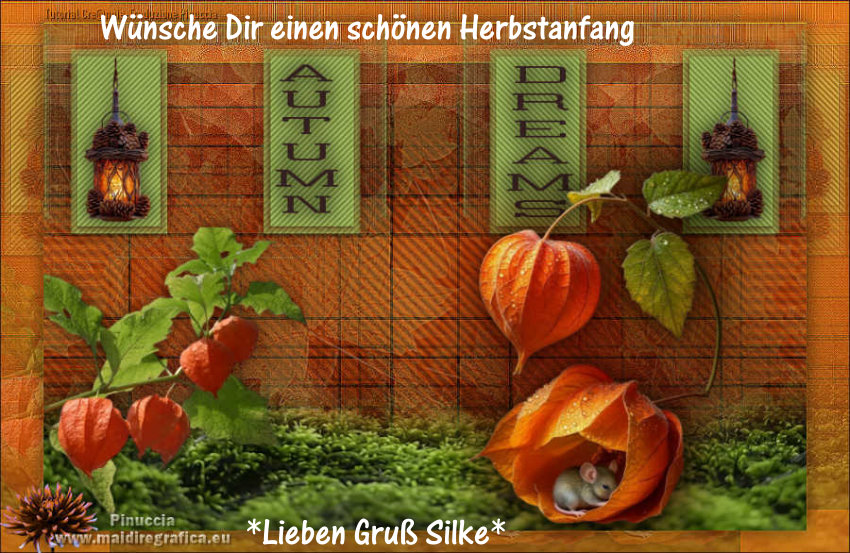 An den Beitrag angehängtes Bild: https://i.postimg.cc/dQ8WVfX9/autumndreams.jpg