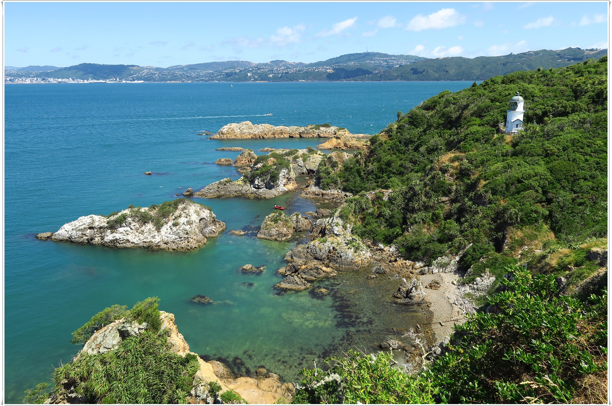 Escapadas y rutas por la Nueva Zelanda menos conocida - Blogs de Nueva Zelanda - Wellington más allá del Te Papa y el Cable Car (39)