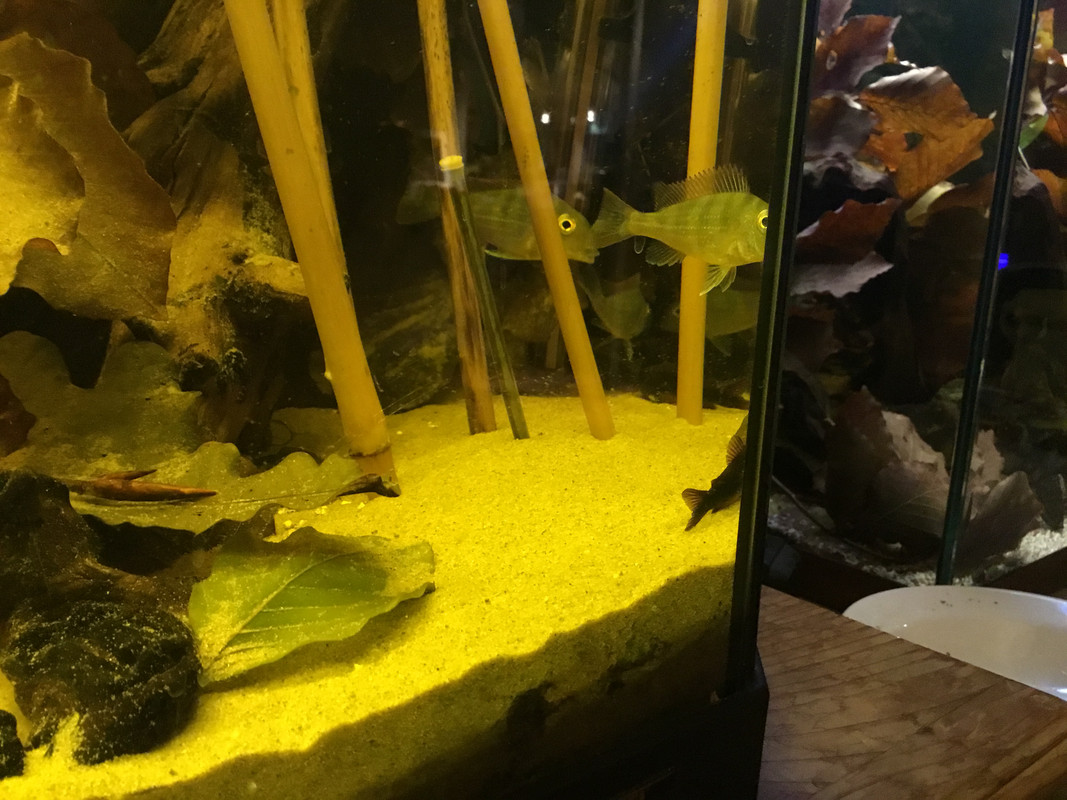 81BBE6EE-4129-46B6-83B0-7593AE4ECDF4