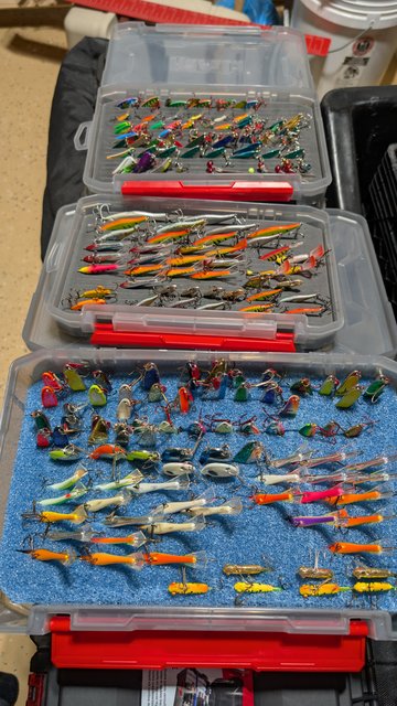 PXL_20241220_022148177