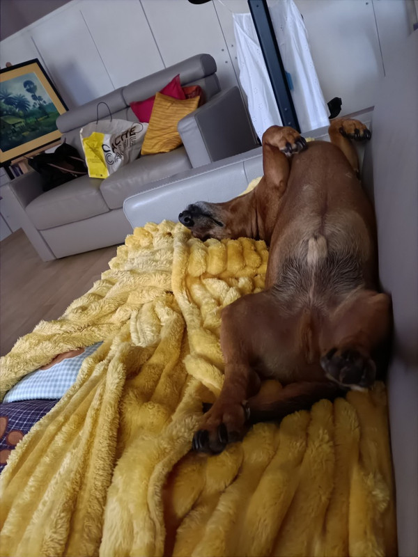 [Image: image000000-201.jpg]