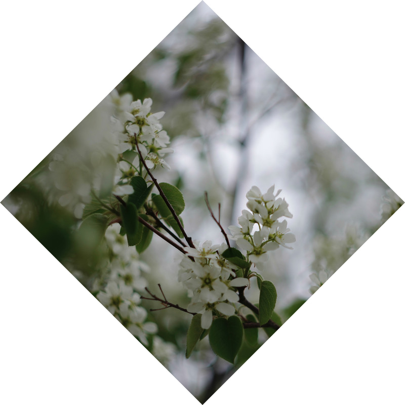 IMGP53320 - копия