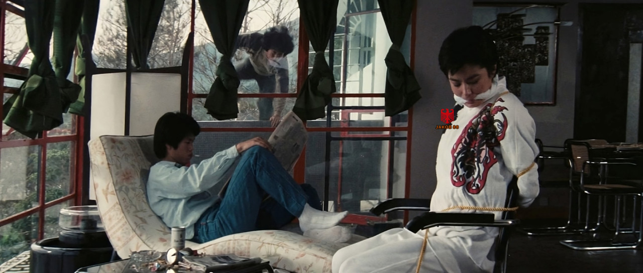 Brigitte Lin 4 - Police Story 1985