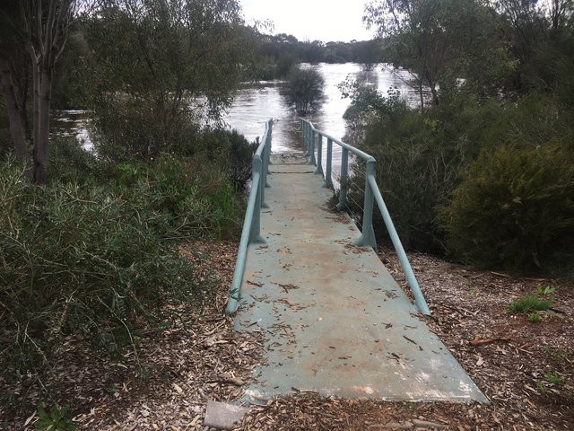 4956B40D-720D-46F7-A162-0D24F8079B11