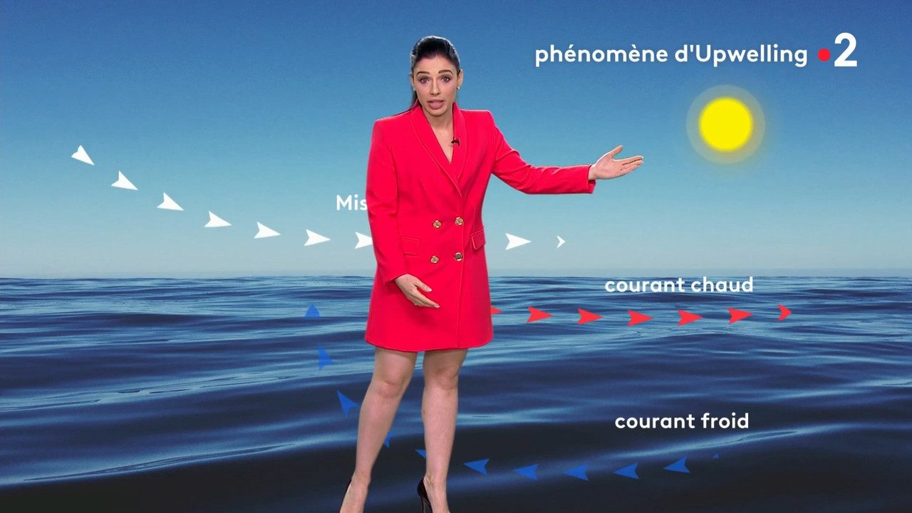 2021-07-19_20_35_Fr2_Meteo.mp4_snapshot_07.28.619