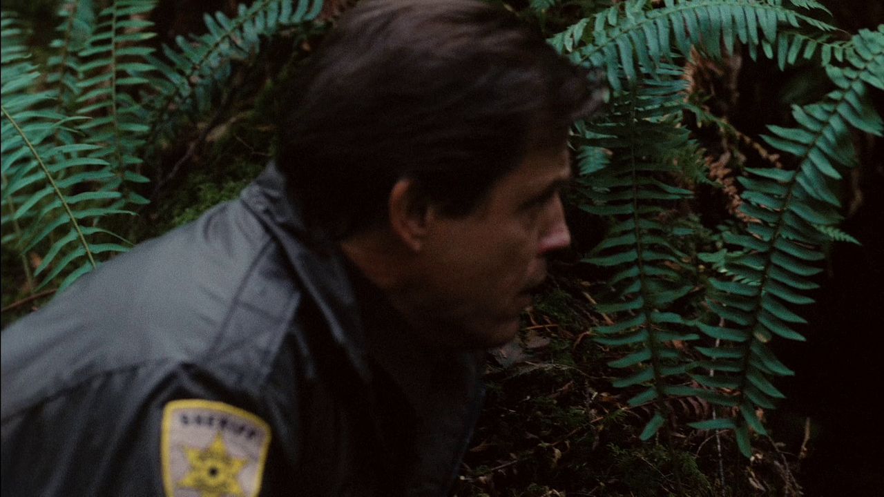 vlcsnap-2023-06-19-23h16m49s900