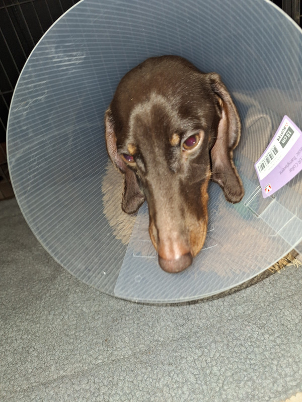 [Image: 20240215-203812.jpg]