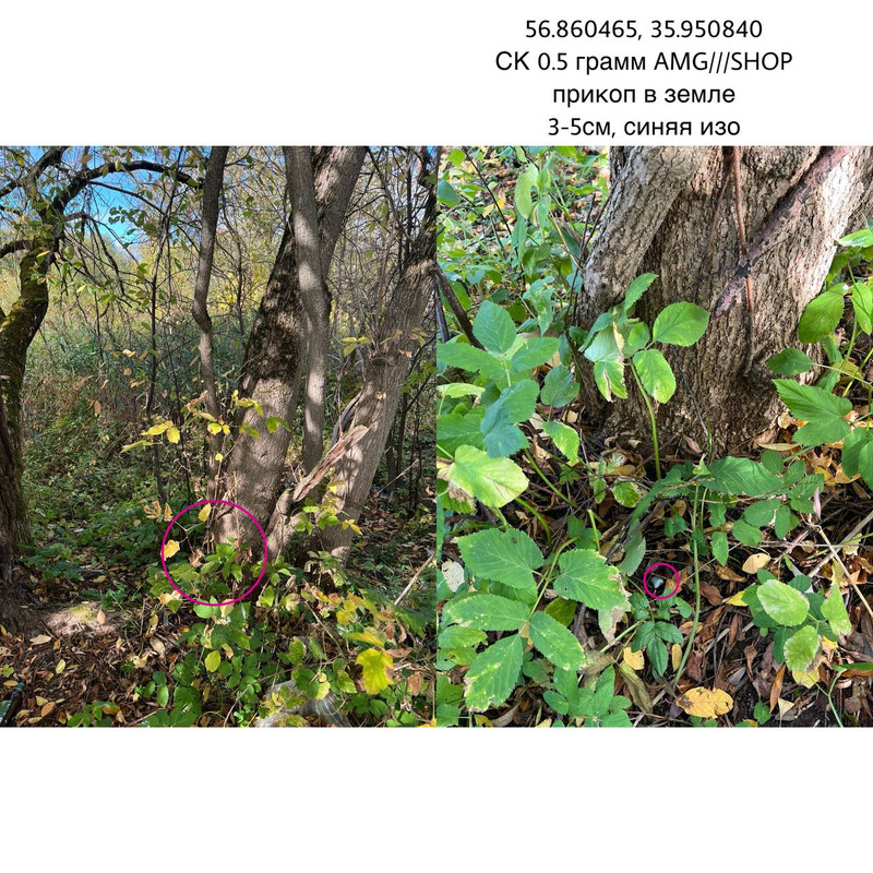 IMG_20250928_170732_079