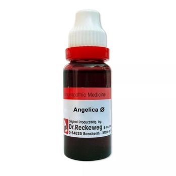 Dr. Reckeweg Agaricus Muscarius 1X (Q) (20ml)