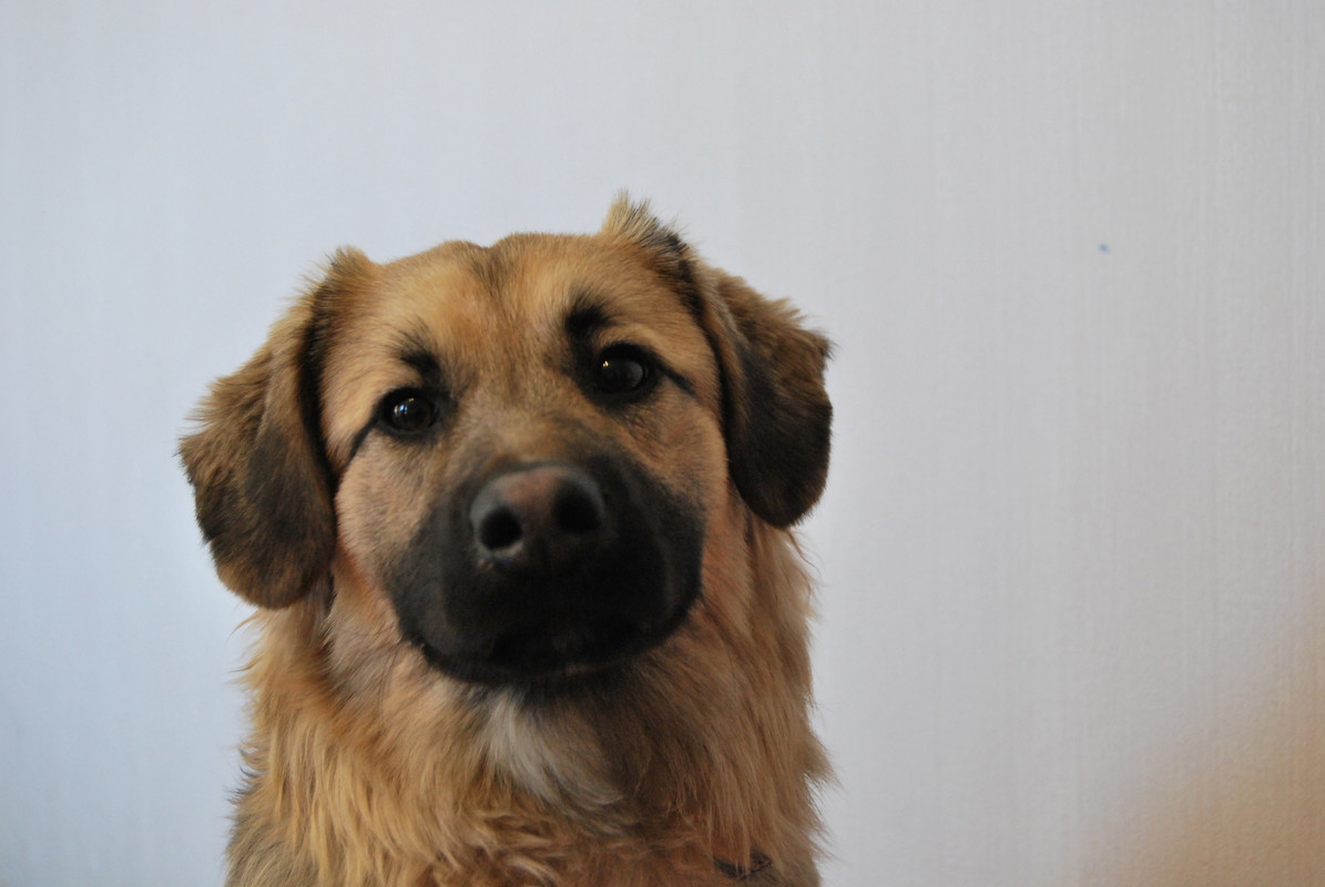 637BAFDA-5511-4799-849A-6FDAFED9FEBA