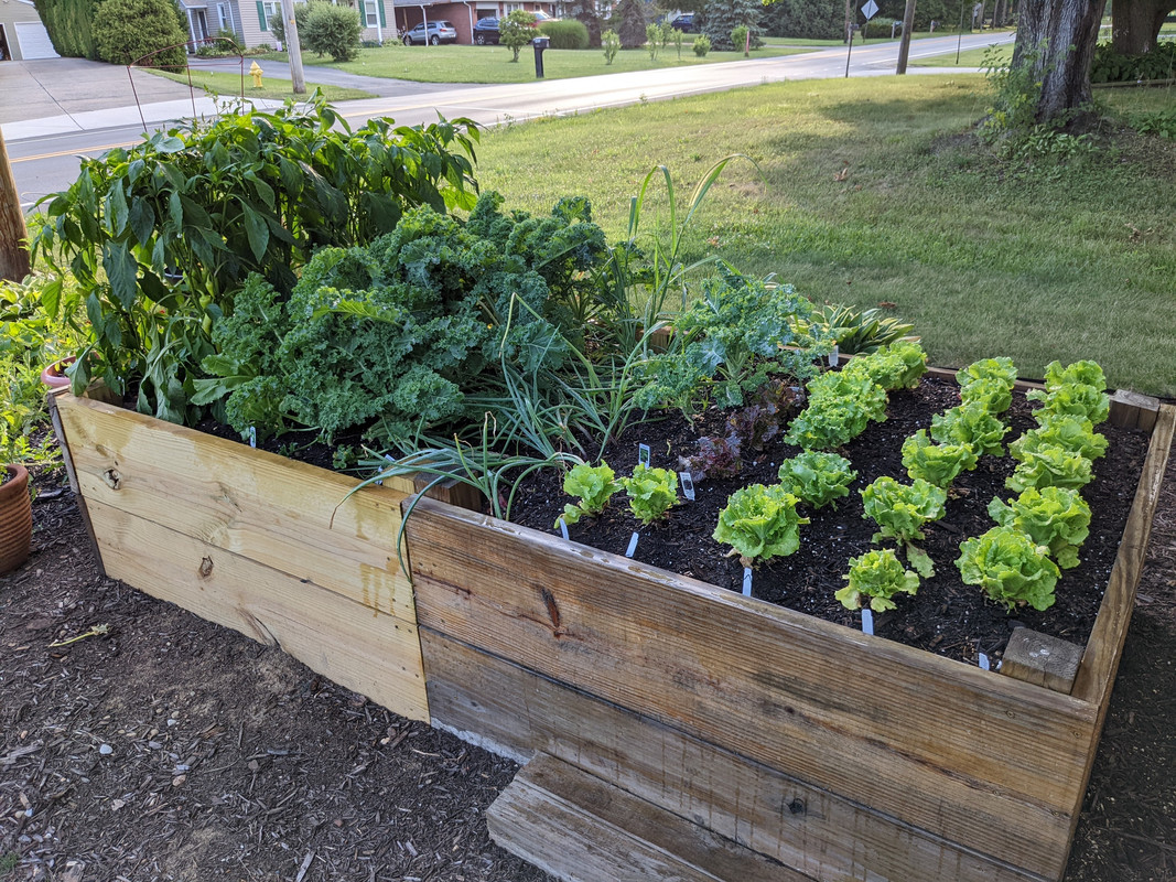 PXL_20220720_232058420