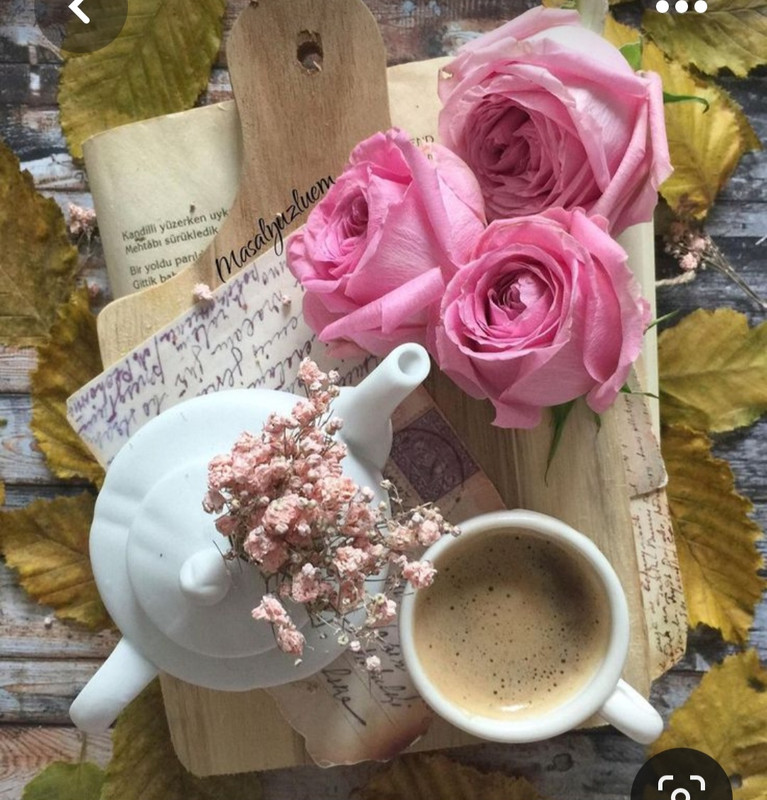 Screenshot_20230528_212316_Pinterest