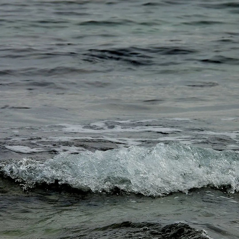 FB IMG 1769446219459