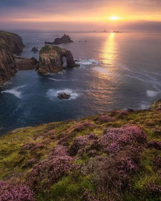 Screenshot_20240529_230249_Pinterest