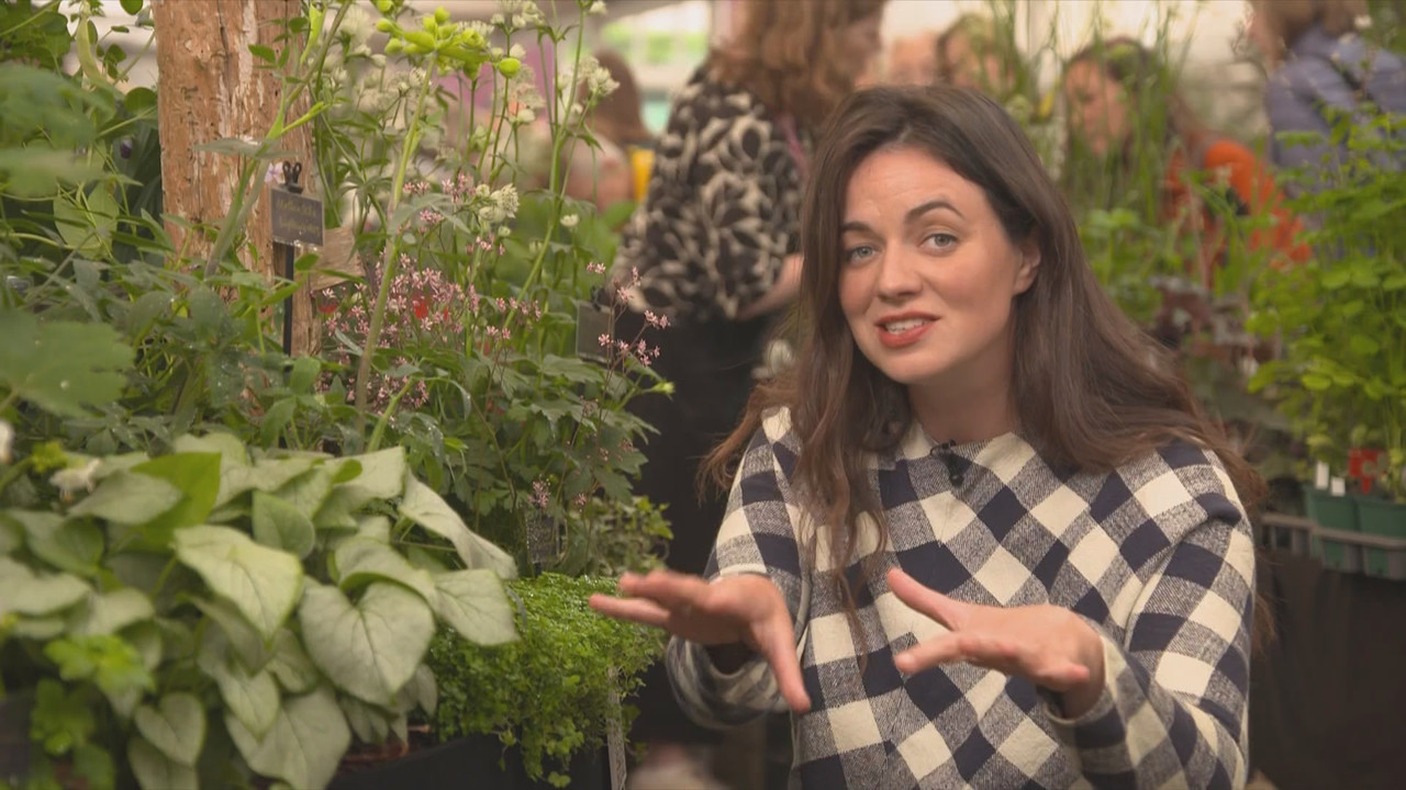 RHS Chelsea Flower Show 2025_20250523_14001500.ts_snapshot_00.07.45.550