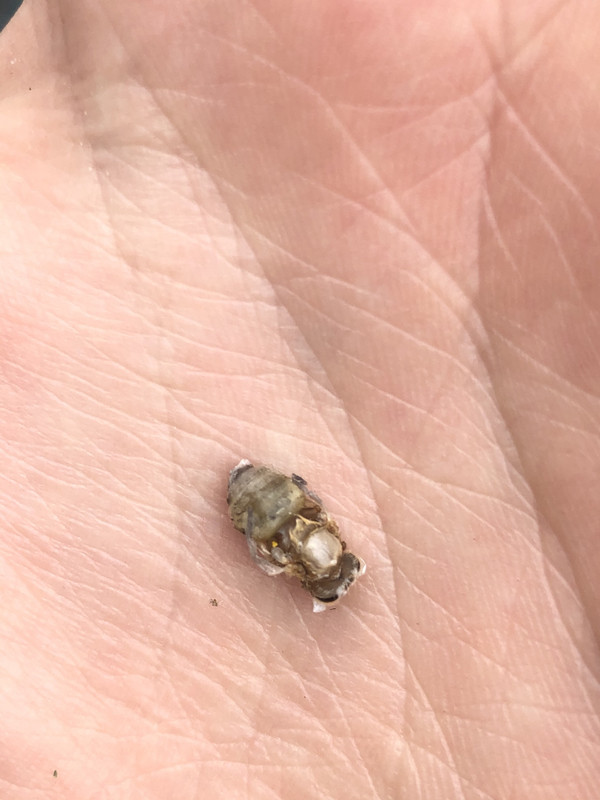 FAE7FA37-4FDB-4A9E-B92D-A6D1C27B0901