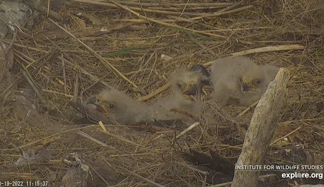 EAA4FFC8-047C-4215-BF4B-CA784F6DC780