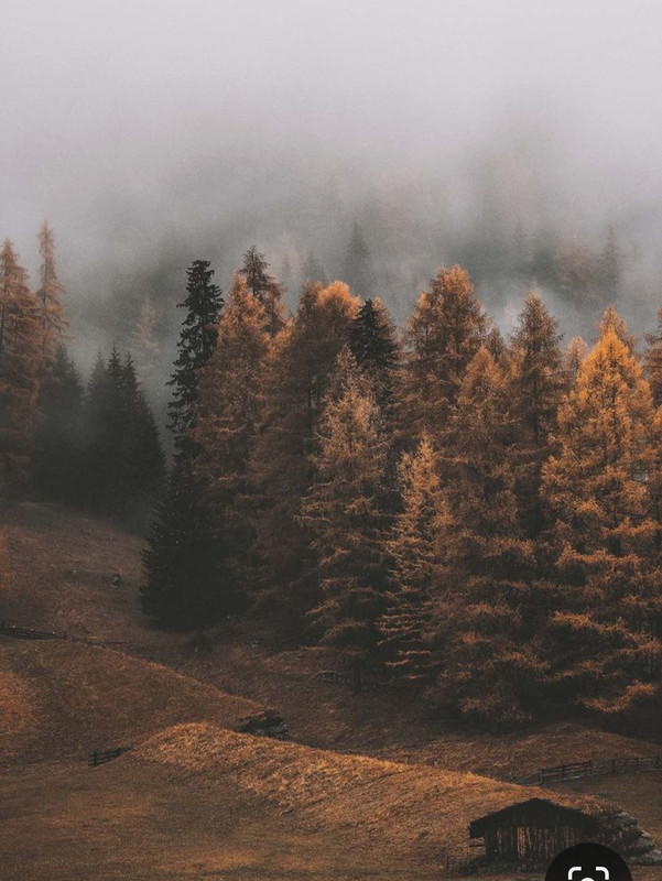 Screenshot_20230301_224009_Pinterest