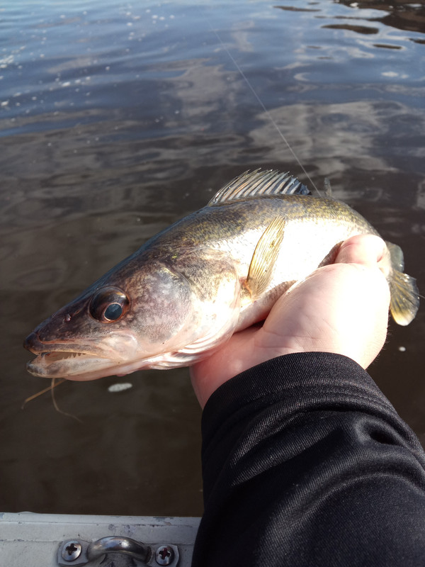 IMG_20201204_105215_835