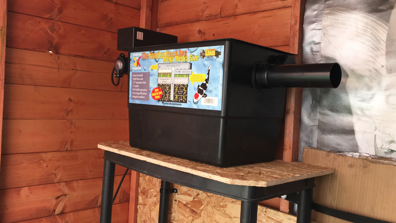 C72C7460-E2DD-483A-B32B-17275C0ADA1E