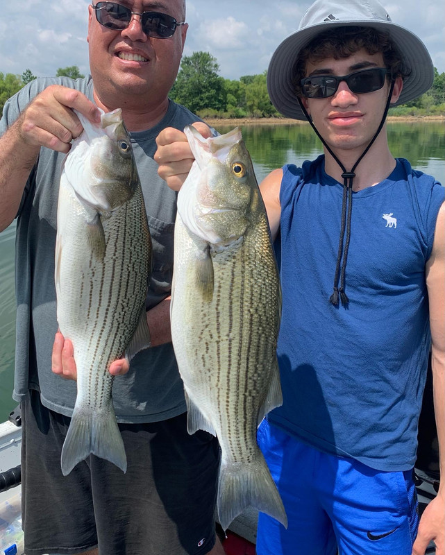 10017B63-765B-43B3-90E9-B240409E5D2B