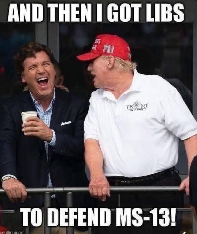 ms13.jpg