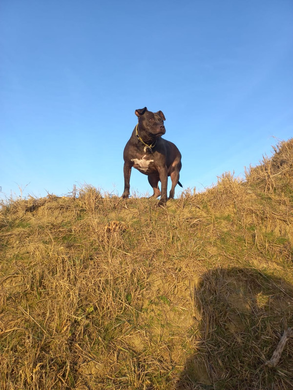 83D33A88-7DC7-4454-A0DC-35ACAE6DFB16