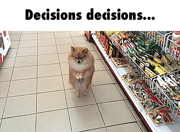 DECISIONS