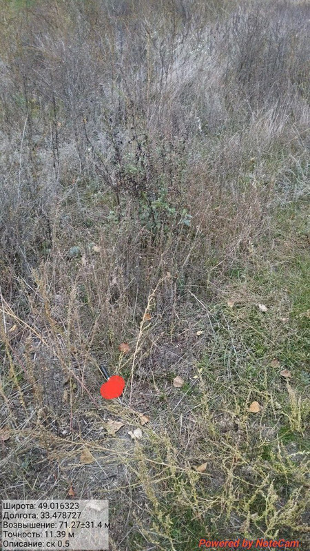 photo_3_2025-10-07_18-32-14