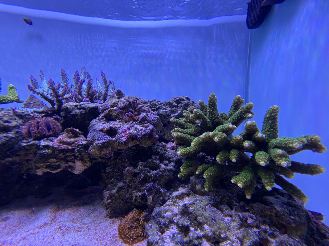 32601F92-16BB-4ED6-82DF-2A941CA37EC1