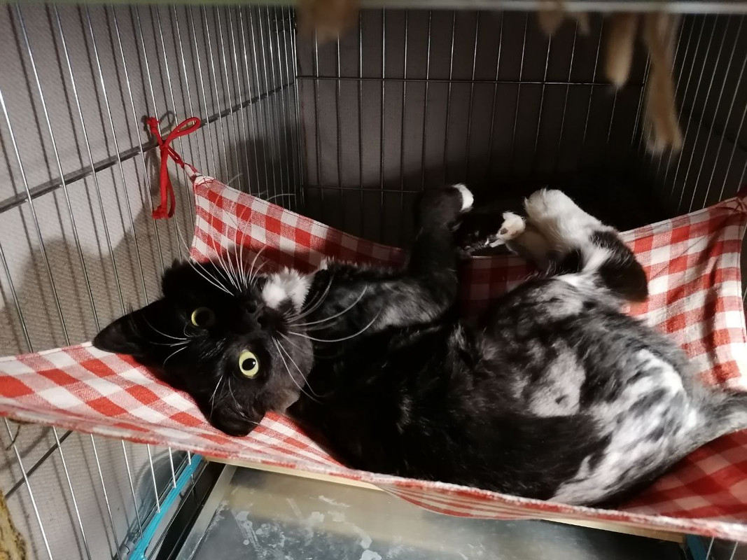 818B78D0-18F5-472B-9782-D126C1229751