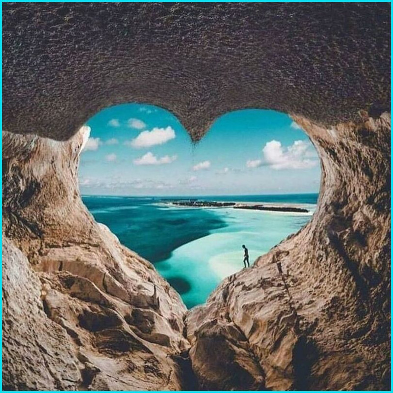 158713097110417758 (7)