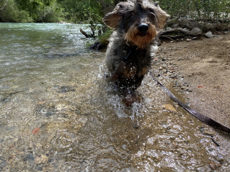 [Image: IMG-2138.jpg]