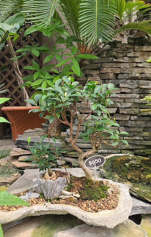 [Image: 20240723-125336.jpg]