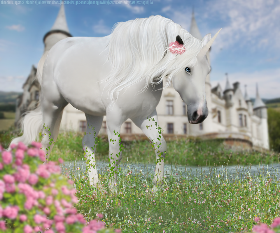 royalunicorncreds.png