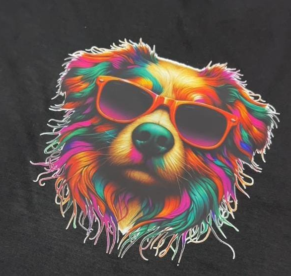 Camisas