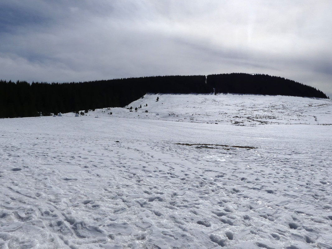 P1100301.jpg