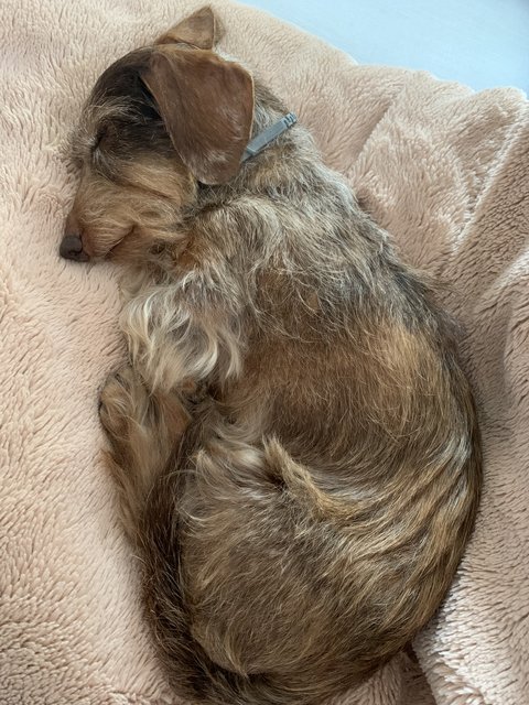 [Image: 9508-AFD9-F063-4-E49-90-C9-429-A20-A48-DEF.jpg]