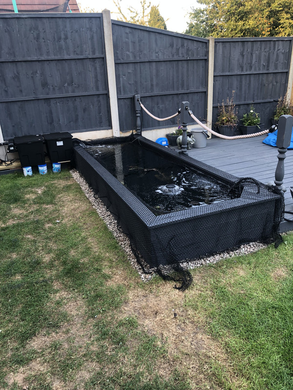 8064FA2D-3104-4D0D-AAA8-DBC03426BAEB