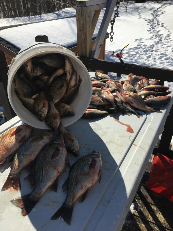 7261C38B-FC34-4E22-9C7A-36AF9FC4B76A