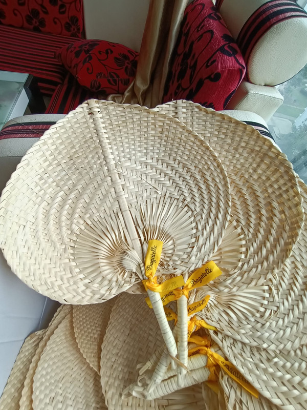 Palm Hand Fans