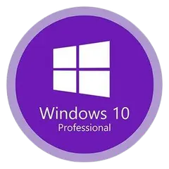 0a137542bb5b4c587ac75de10b119669-png.webp