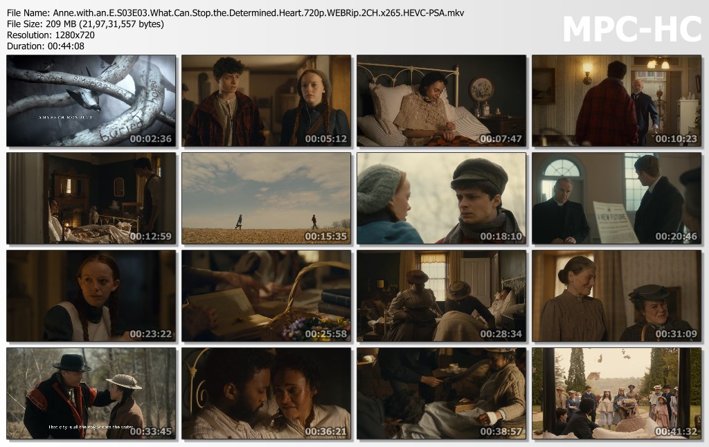 Anne with an E SEASON 1 2 3 S01 S02 S03 720p WEBRip 2CH x265 HEVC PSA