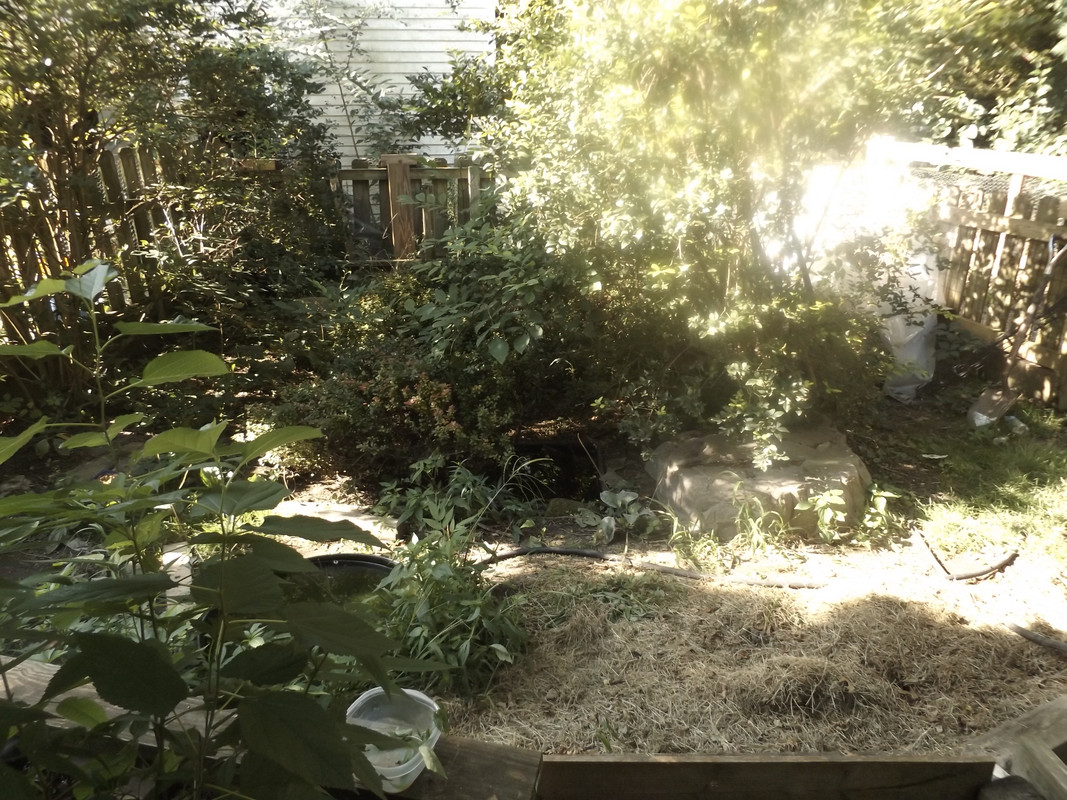 DSCF6581.jpg