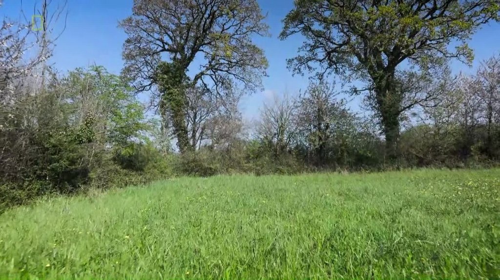 [Image: vi2o6vj63for.jpg]