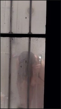 [Image: Voyeur8805132633.jpg]