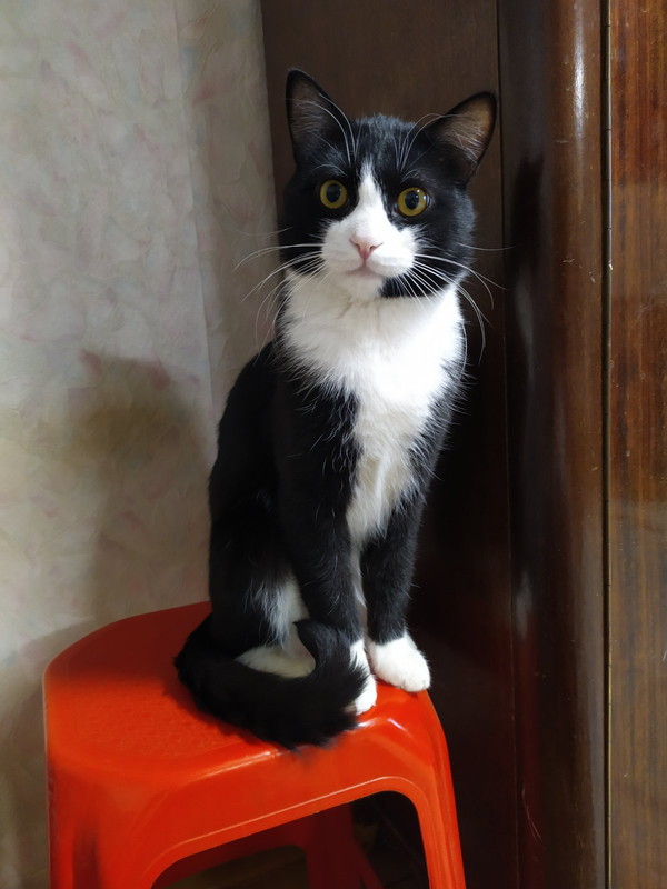 изображение_viber_2021-01-25_16-27-06