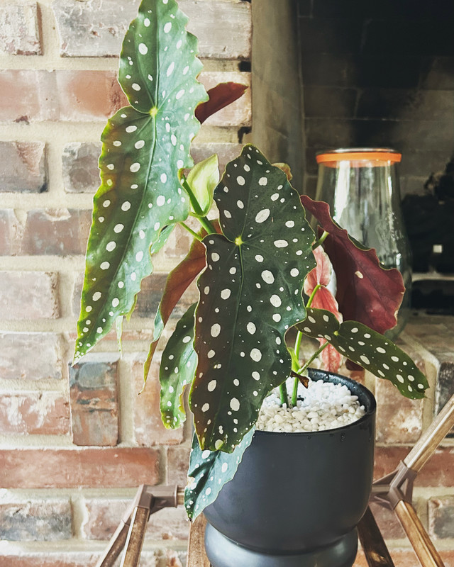 993C9949-82AD-4472-BF7A-94783E6D40B3