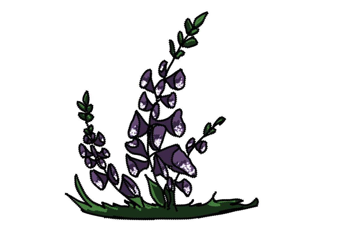 https://i.postimg.cc/dQNL4MzD/Illustration3.png